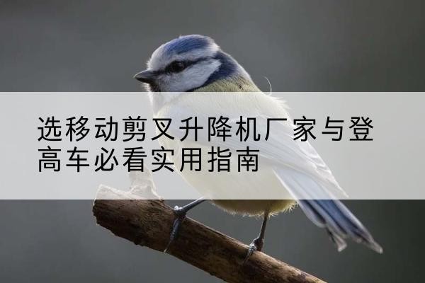 万柏林电动升降机厂家-选移动剪叉升降机厂家与登高车必看实用指南