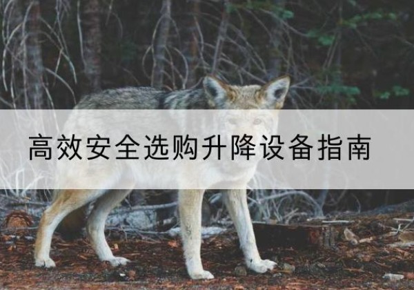 万柏林升降货梯厂家推荐-*安全选购升降设备指南