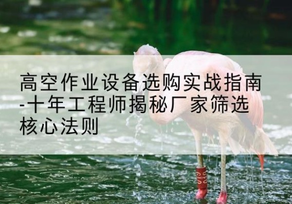 万柏林剪叉式升降机厂家-高空作业设备选购实战指南-十年工程师揭秘厂家筛选核心法则